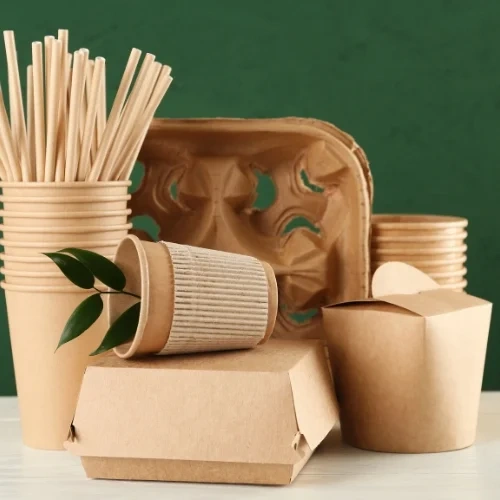 Eco-Friendly-Films-1 - Stretch Films India - Stretch Films India Eco-Friendly-Films